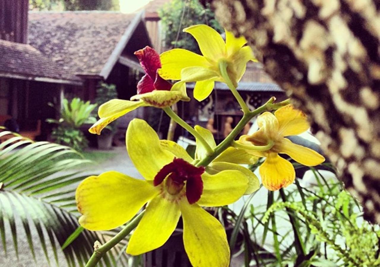 Tanita House Bed & Breakfast Chiang Mai Bagian luar foto